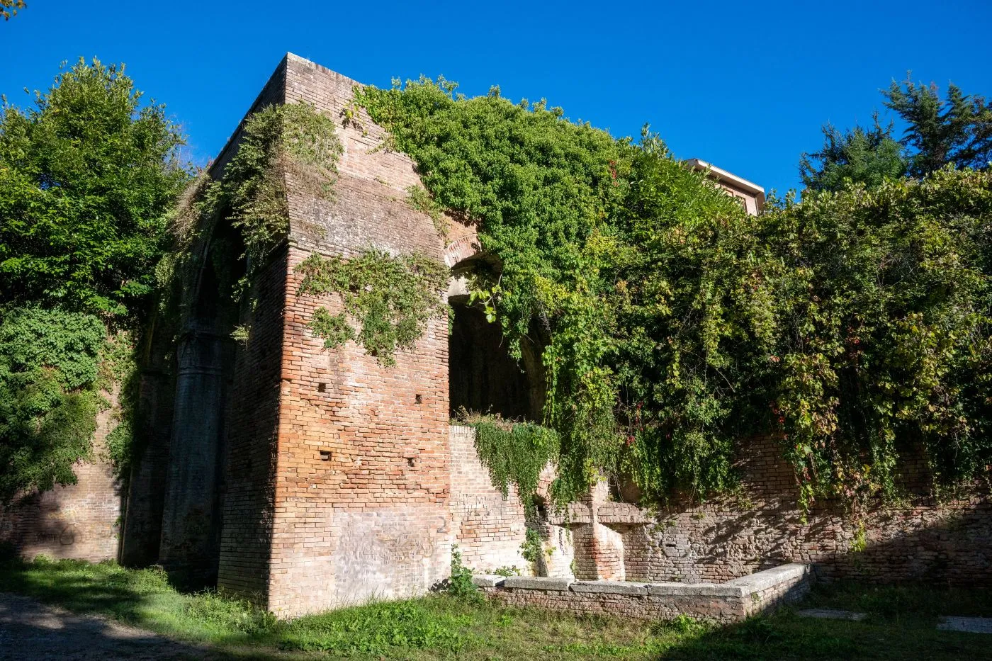 Fonte d'Ovile
