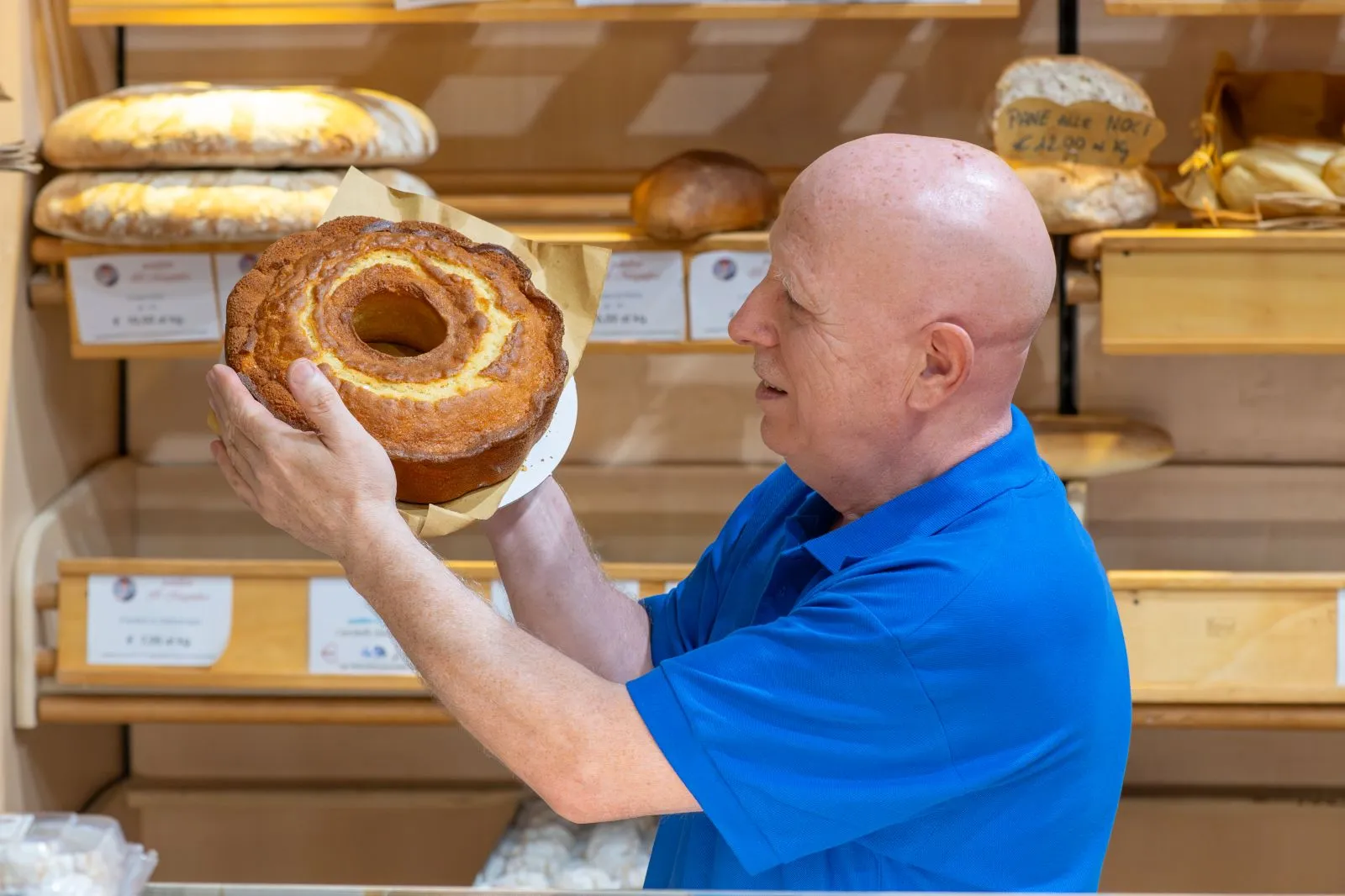 Forno il Magnifico di Lorenzo Rossi