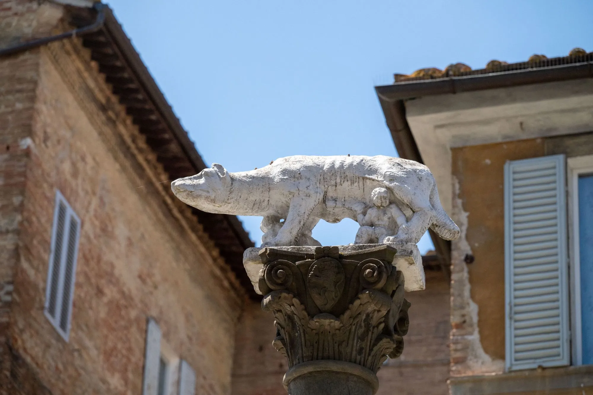 Colonna della Lupa Senese