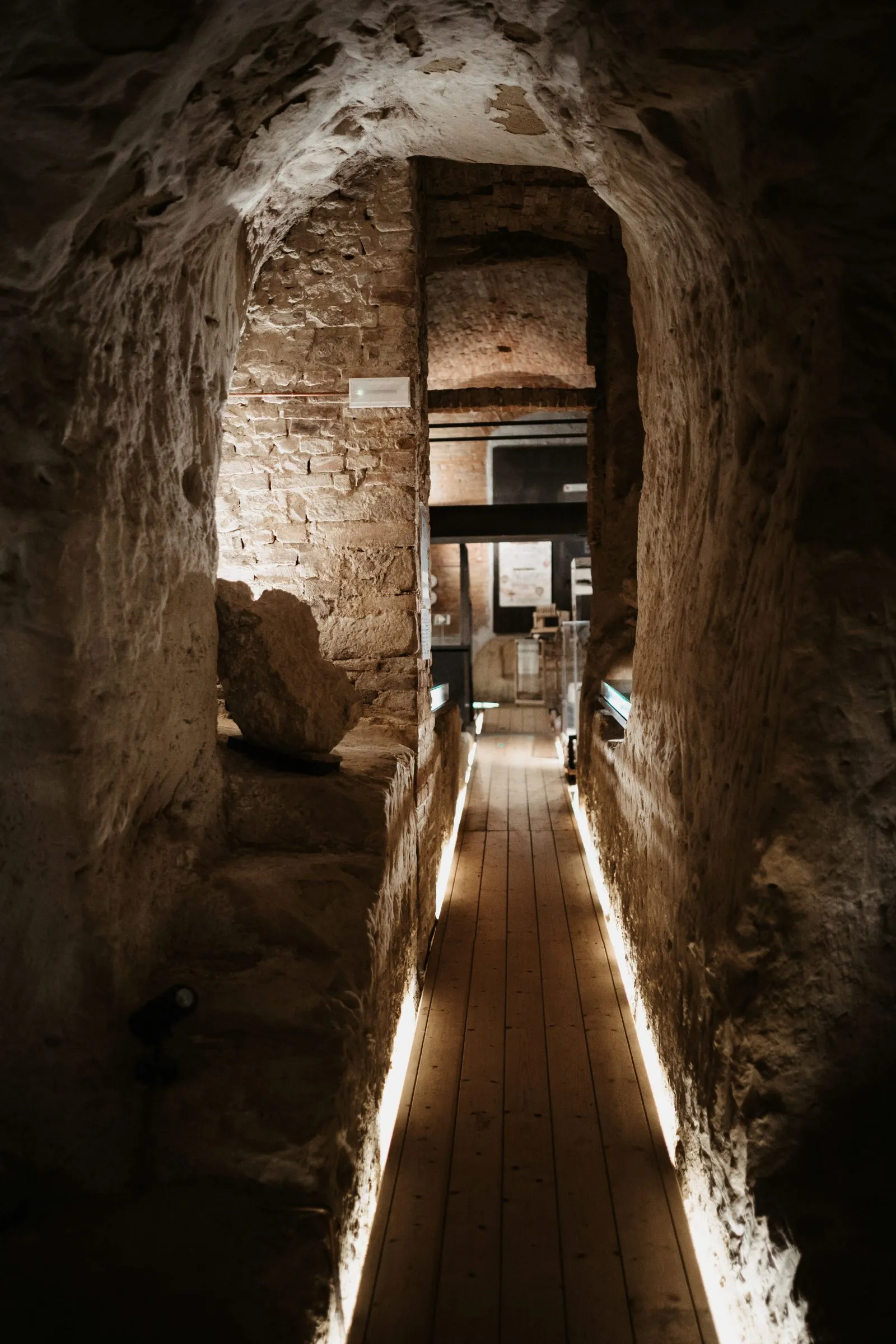 Museo di storia naturale