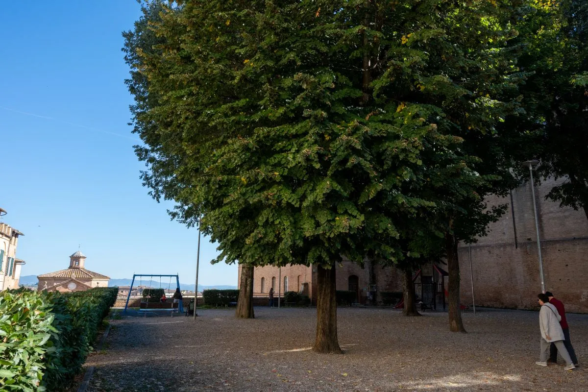 Giardino con albero e altalena