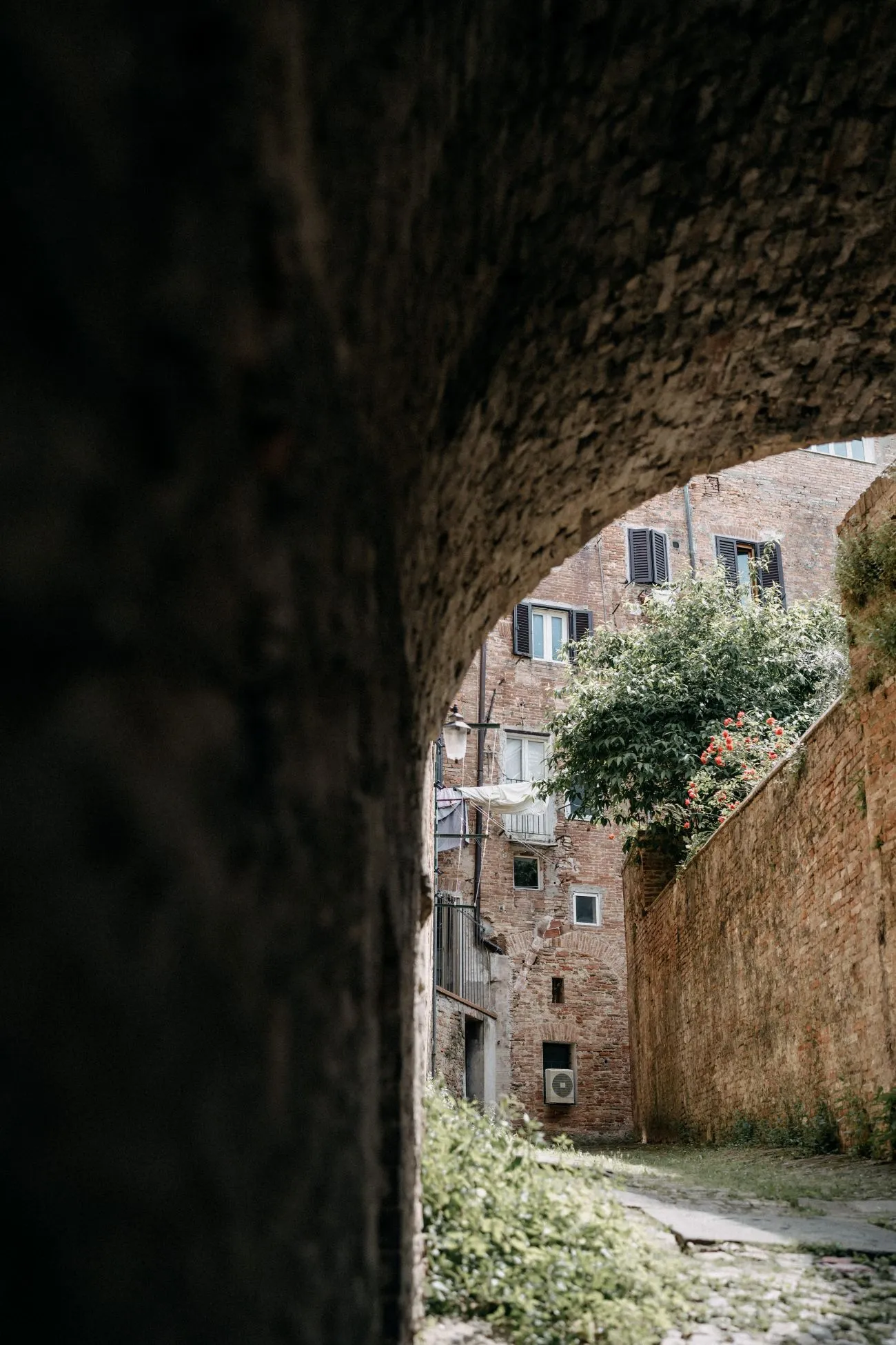 Vicolo degli Orbachi